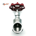 stainless steel globe valve threaded end NPT BSPT